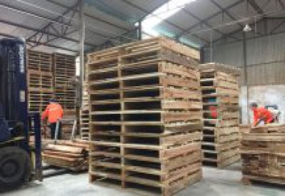 Quy trình sản xuất mùn cưa gỗ, chân cục mùn cưa